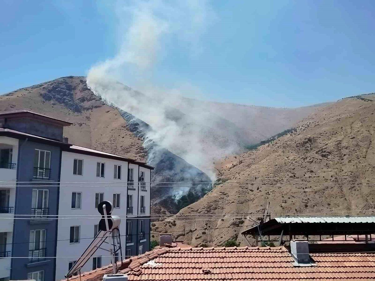 Elazığ'da dağlık alanda yangın
