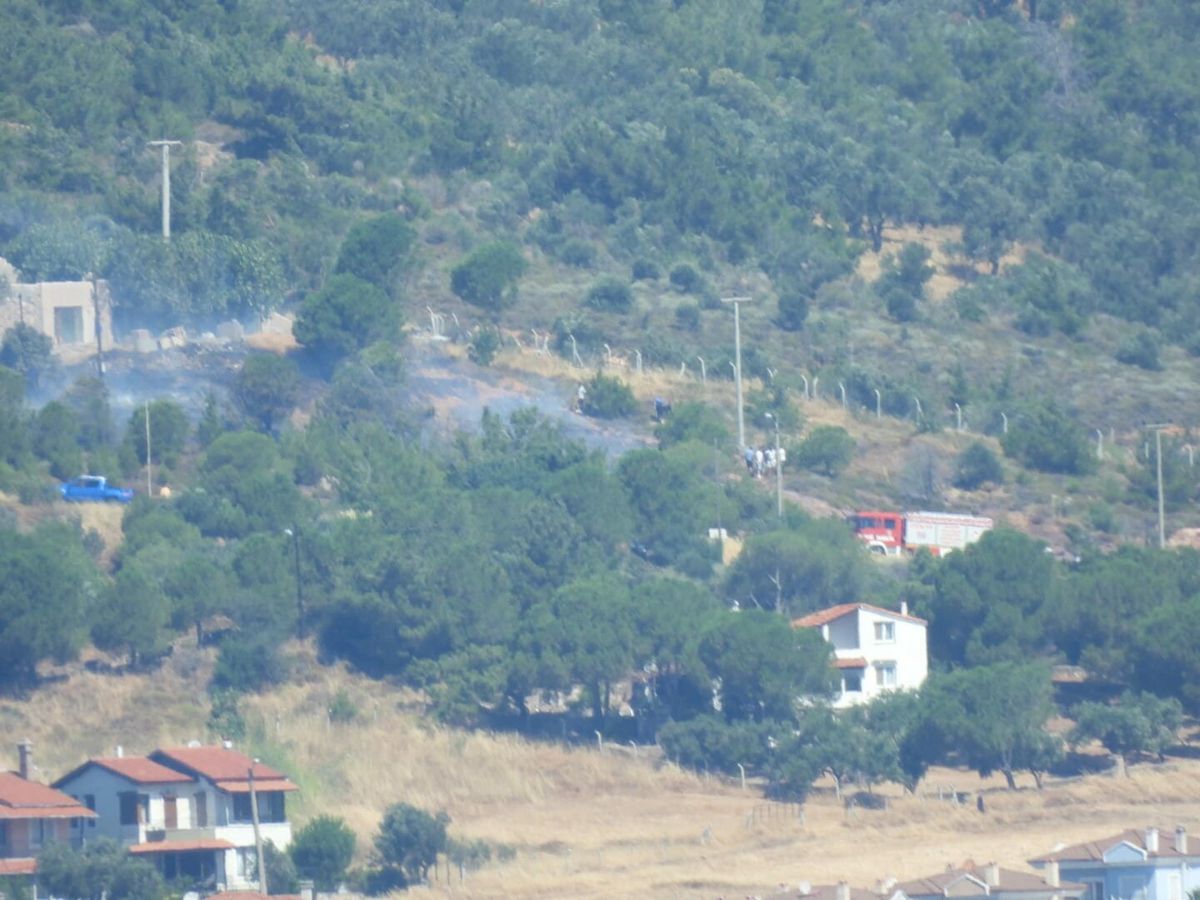 Ayvalık'ta Cunda Adası'nda Orman Yangını