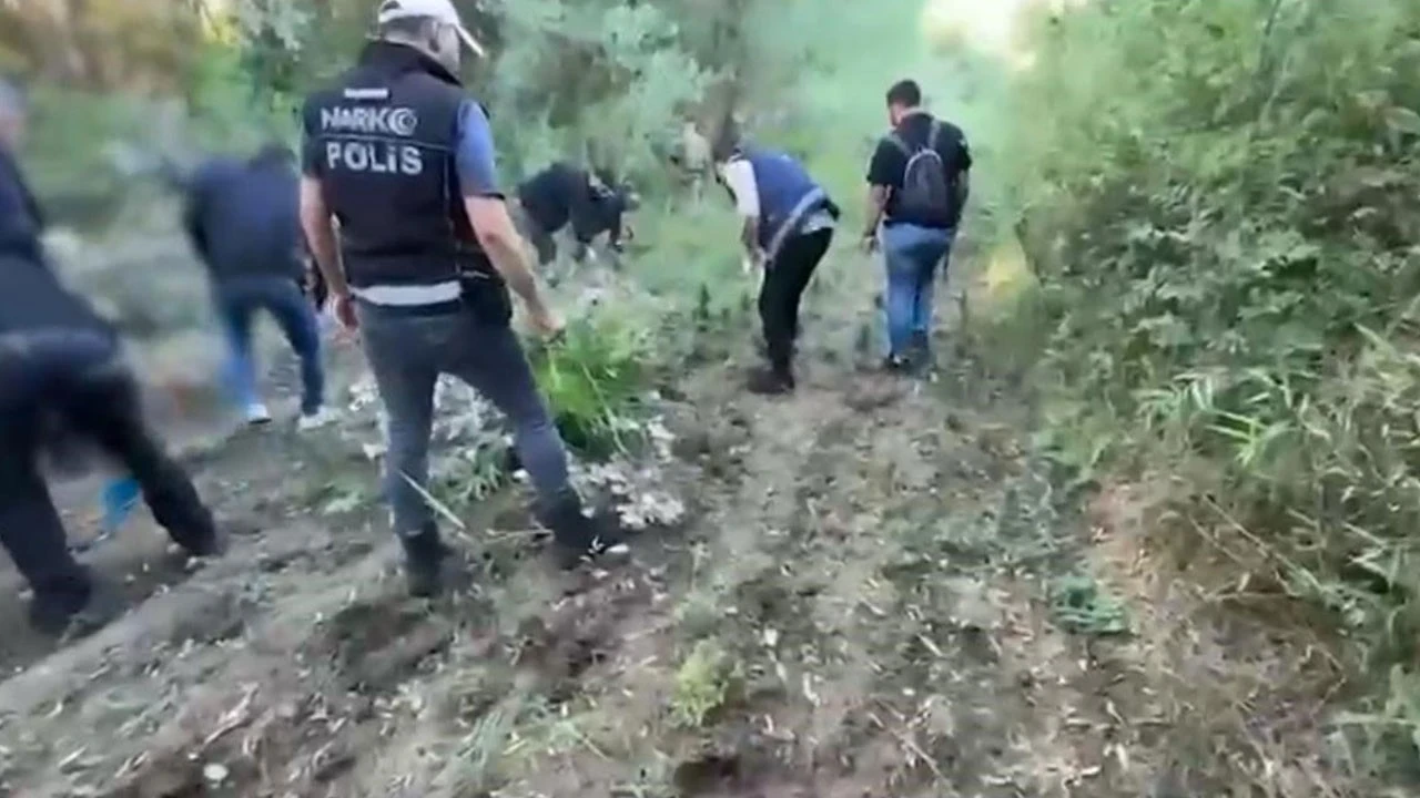 UNESCO Dünya Miras Listesi’ndeki Hevsel Bahçeleri’nde uyuşturucu operasyonu