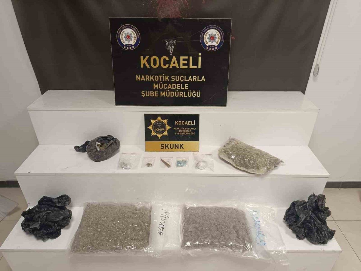 Kocaeli’de kilolarca skunk ele geçirildi
