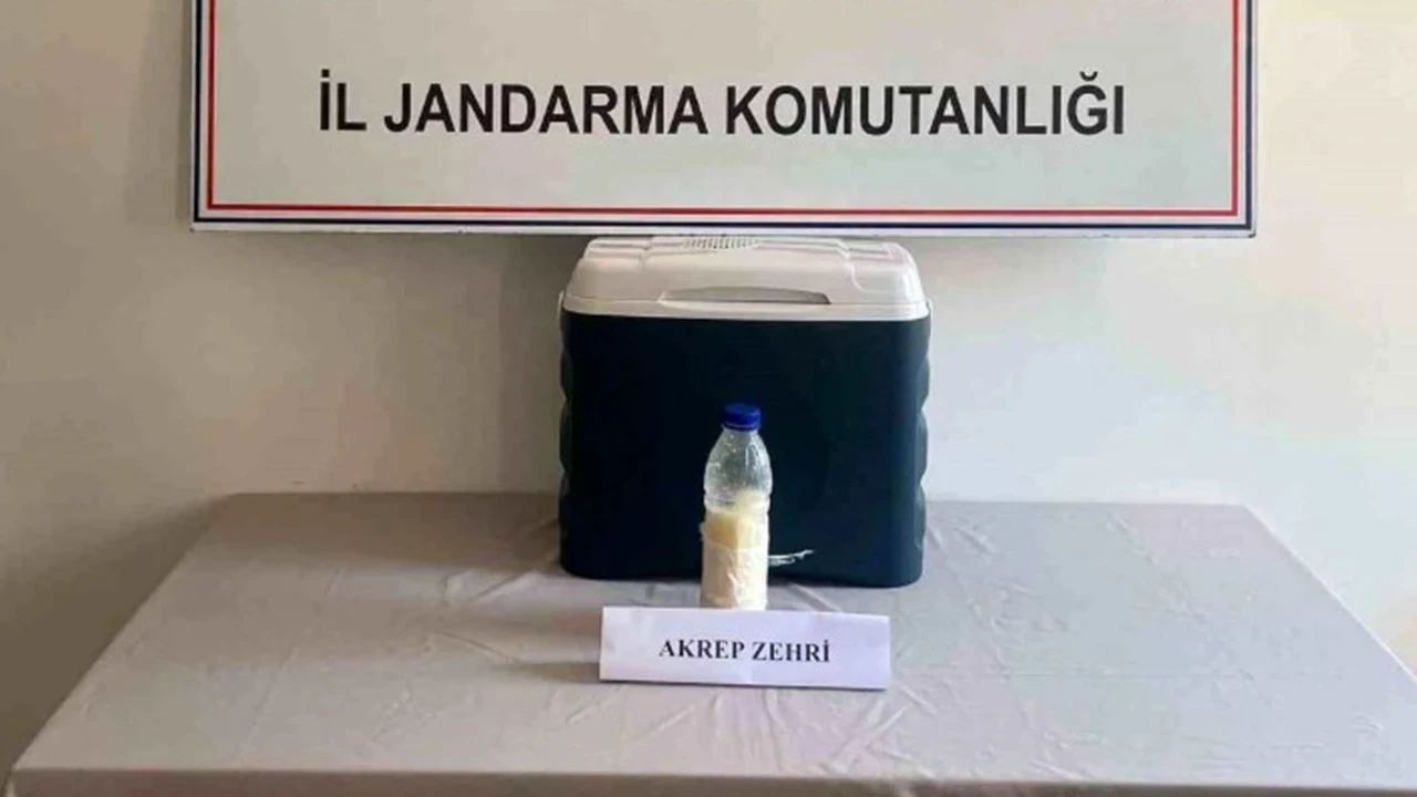 5 milyon dolarlık akrep zehri Yalova'da yakalandı