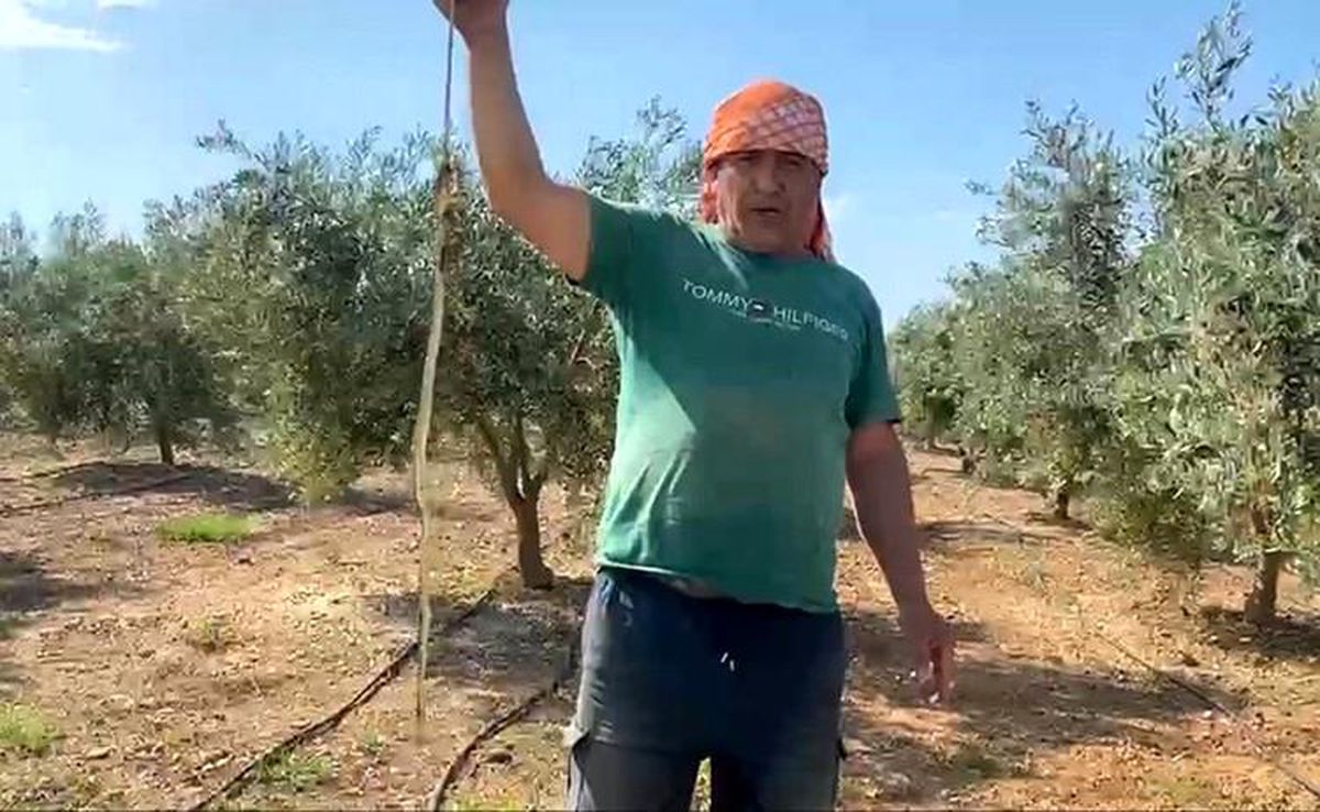 'Yılanı öldürdüm' deyip çektirdiği video pahalıya mal oldu: 22 bin TL ceza yedi