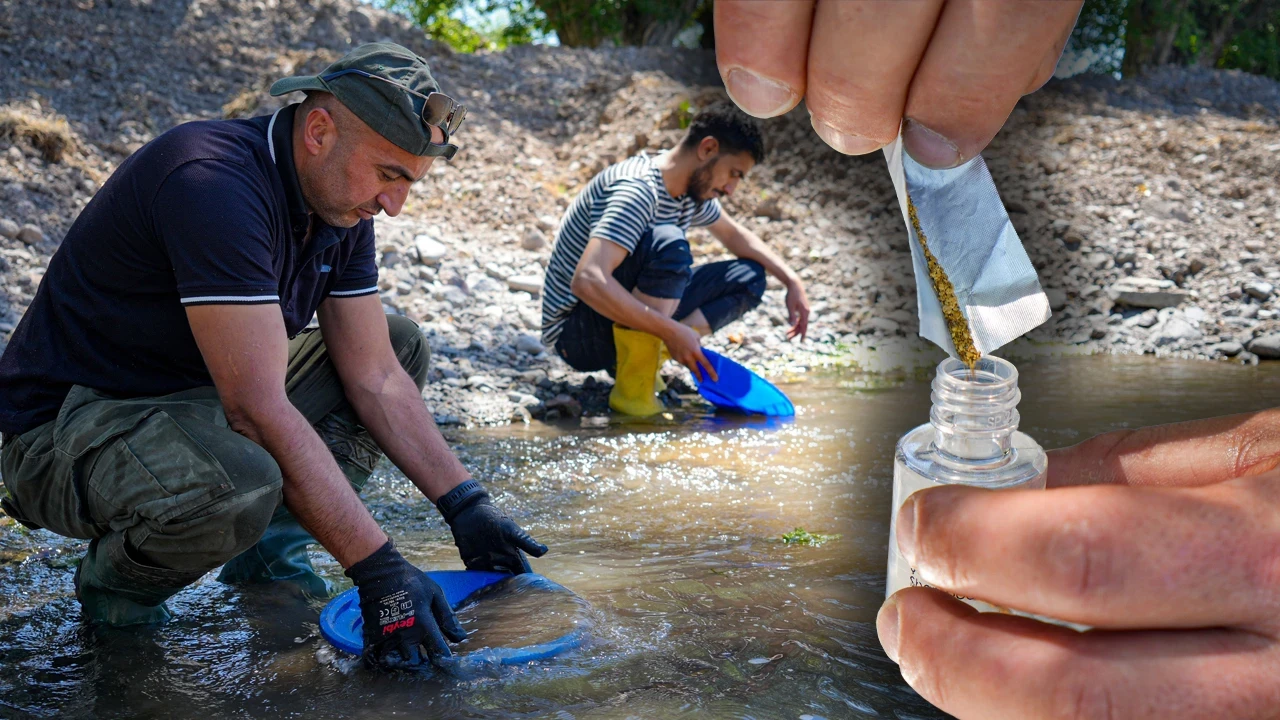 Hobi Olarak Başladılar, Günde 20 Gram Altın Buluyorlar! Ekipte Asker de Var Polis de