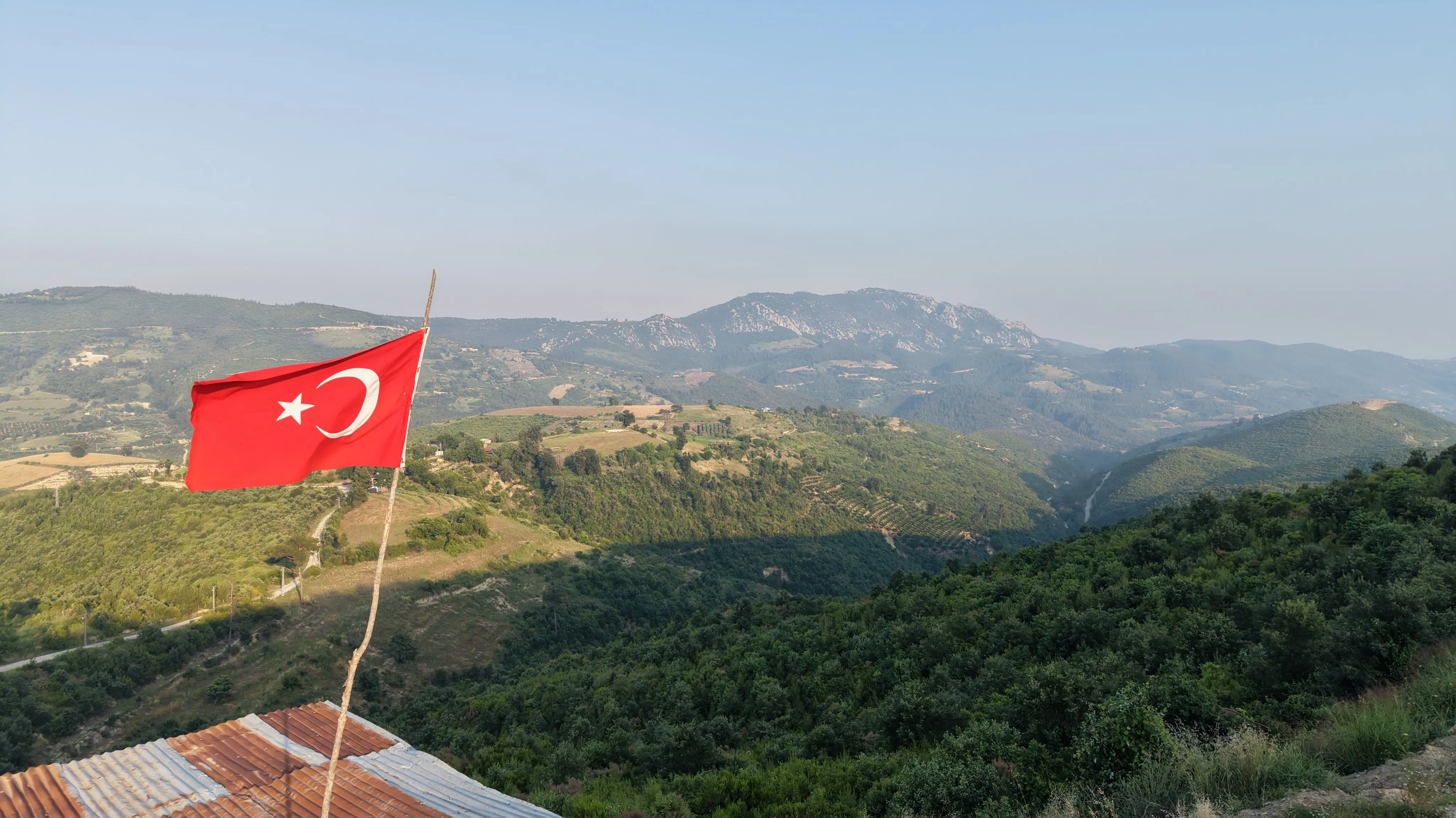 Üç gün süren yangında küle dönmüştü! 650 bin fidanla orman yeniden hayat buldu