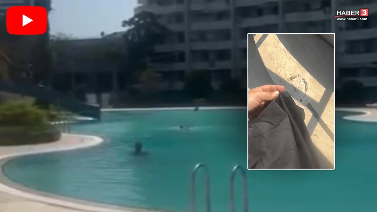 Türkiye'nin konuştuğu haşema krizinde tutuklama kararı!