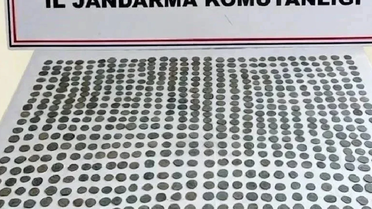 Muş'ta kaçakçılık operasyonu: 85 sikke ve bir yüzük ele geçirildi
