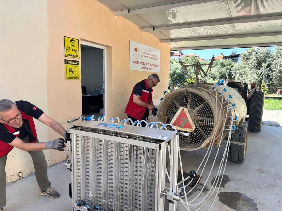 Üzümde kalıntı riskine karşı sıkı denetim
