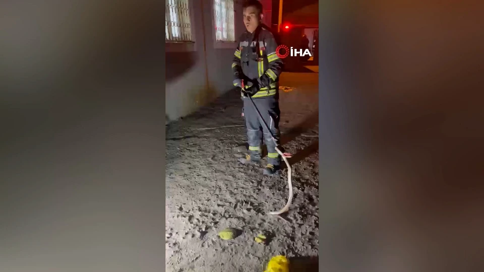 Osmaniye Belediyesi Ekipleri Evdeki Zehirli Yılanı Tahliye Etti