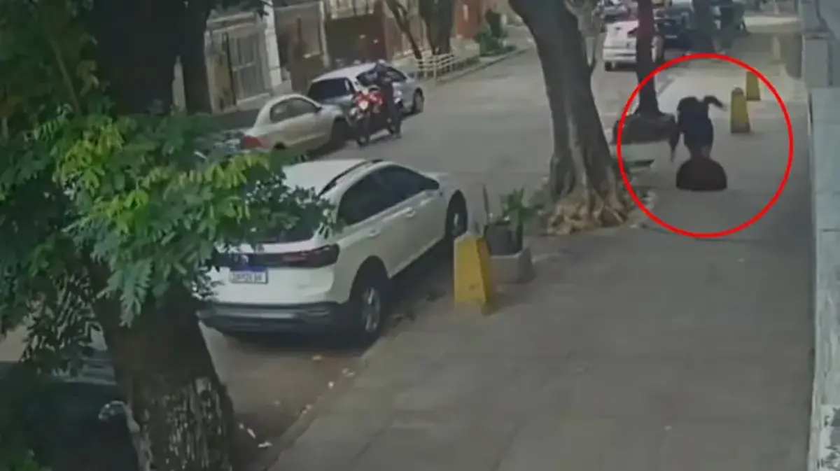 Brezilya’da kaldırımda yürüyen kadın kanalizasyona düştü, rögar kapağı üstüne kapandı