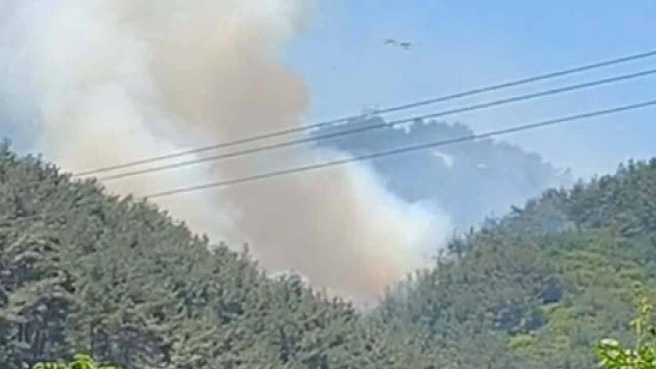 Son dakika | Manisa'da orman yangını! Havadan ve karadan müdahale başlatıldı