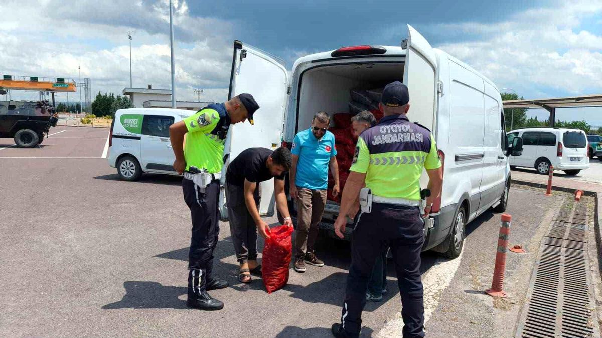 Yalova'da 3 ton kaçak midye ele geçirildi