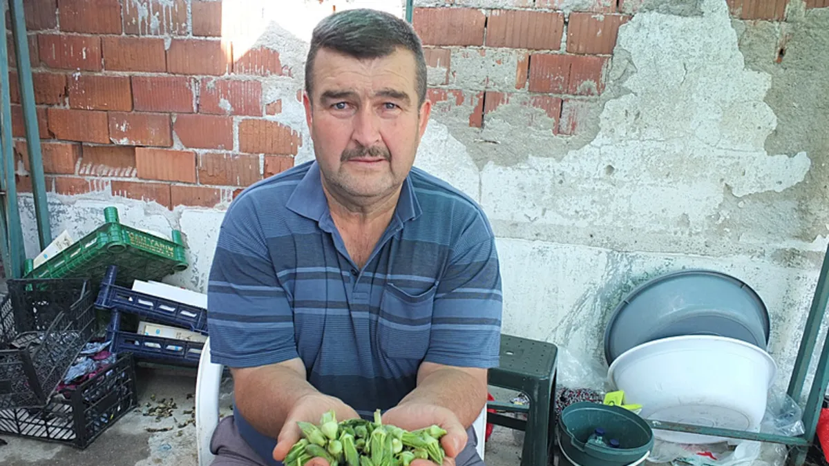 Hasadı başladı kazancı katlandı! Pazarda yok satıyor…