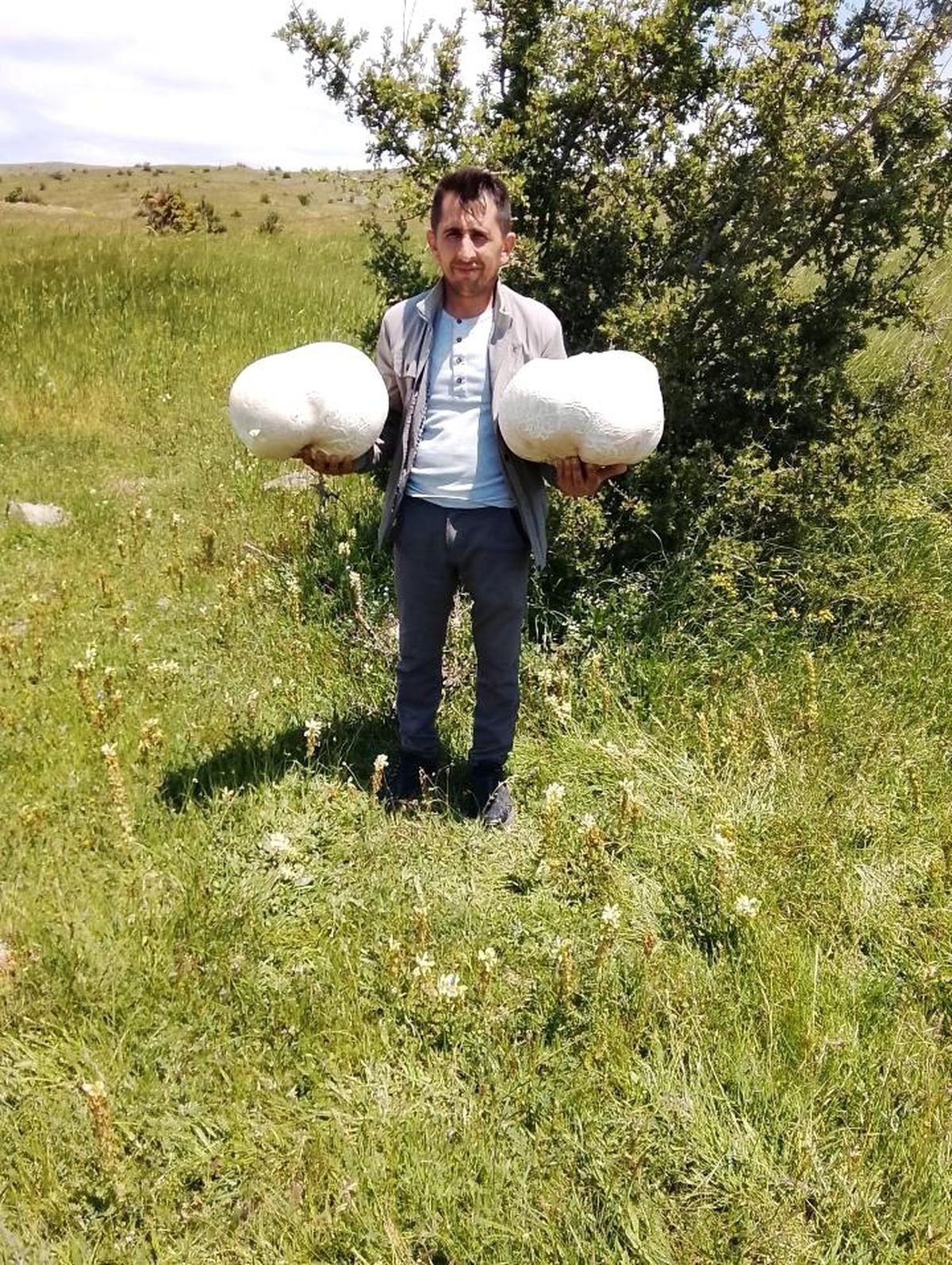 Doğada 20 kiloluk mantar buldu