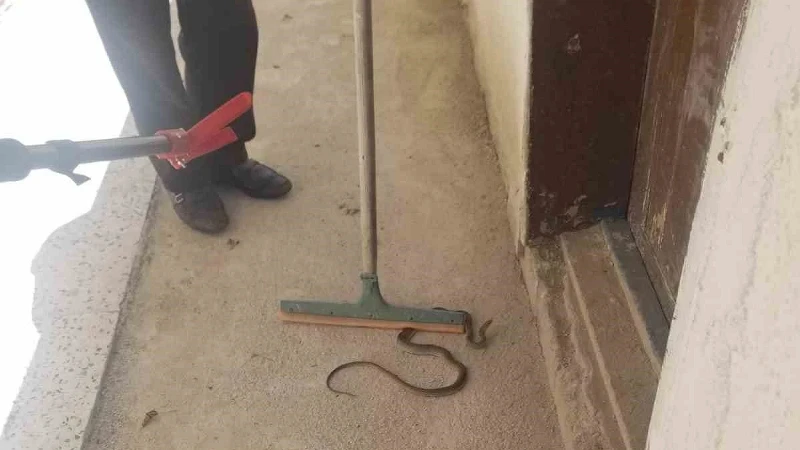 Çorum'da korku dolu anlar: Eve giren yılanı itfaiye yakaladı