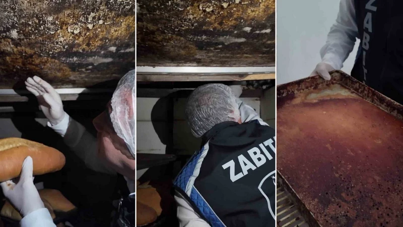 Fırın değil mikrop yuvası: Böceklerin cirit attığı işletmede mide bulandıran görüntüler ortaya çıktı