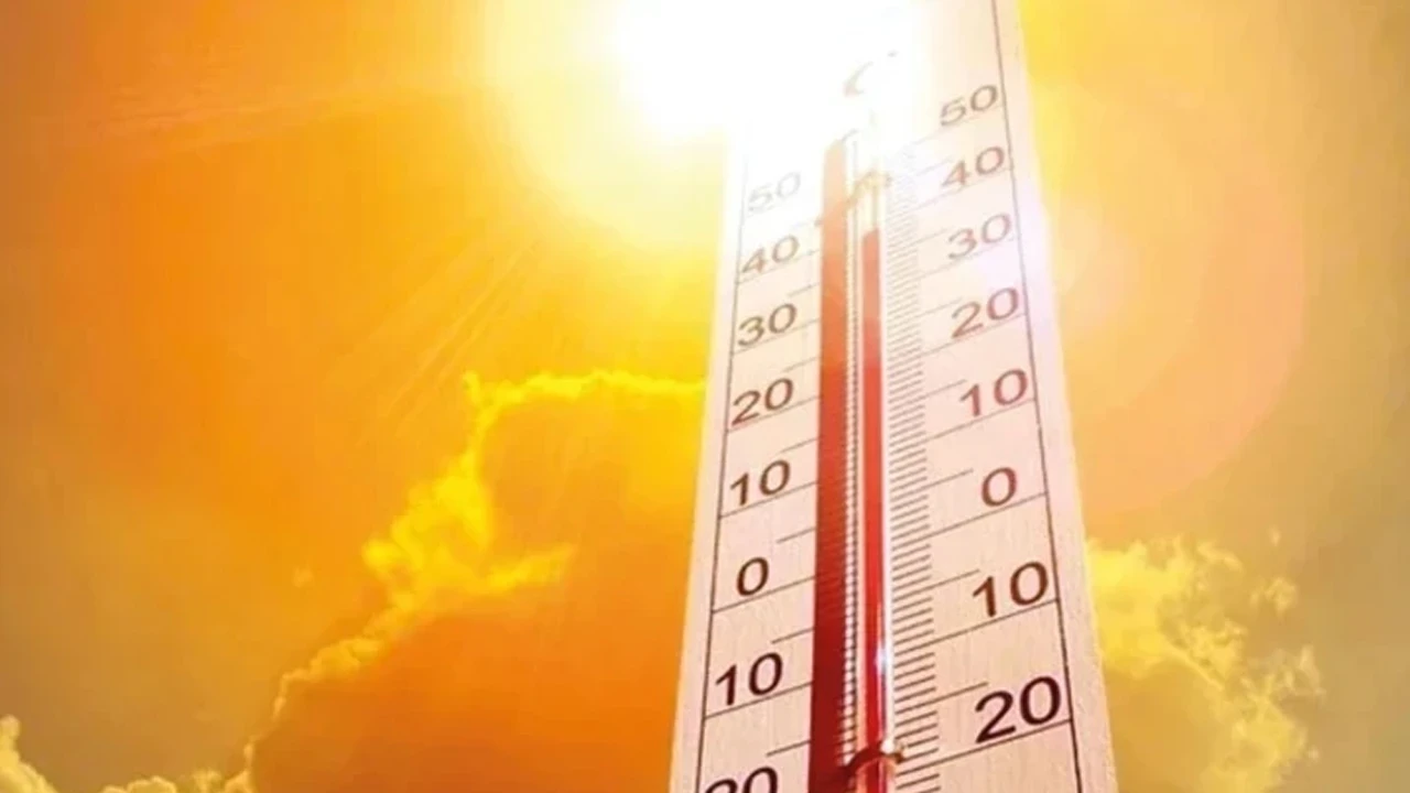 Almanya'da tarihi sıcaklık alarmı: Etkinlikler ertelendi, Meclis kubbesi ziyarete kapatıldı
