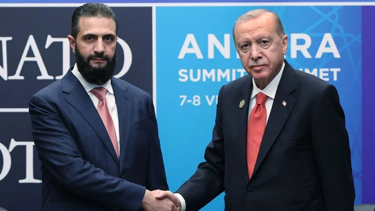 Cumhurbaşkanı Erdoğan, Şara ile görüştü