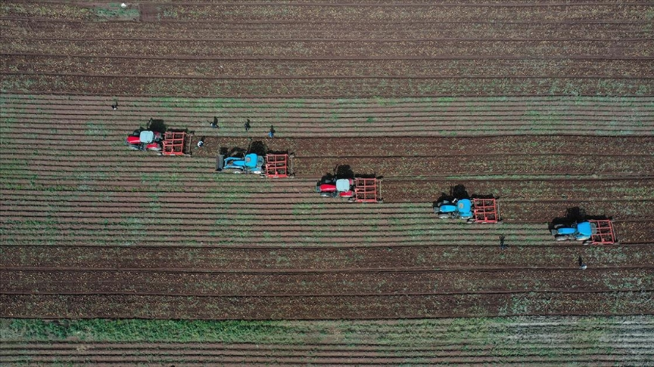 Tarım ve ormana yönelik düzenlemeleri içeren kanun Resmi Gazete'de