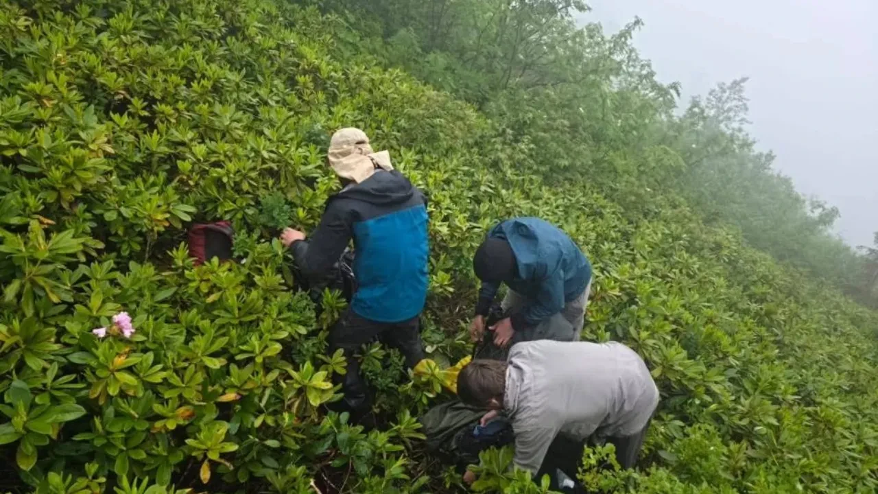 Rize'de doğa yürüyüşünde kaybolan 3 Rus turist 10 saatlik operasyonla kurtarıldı!