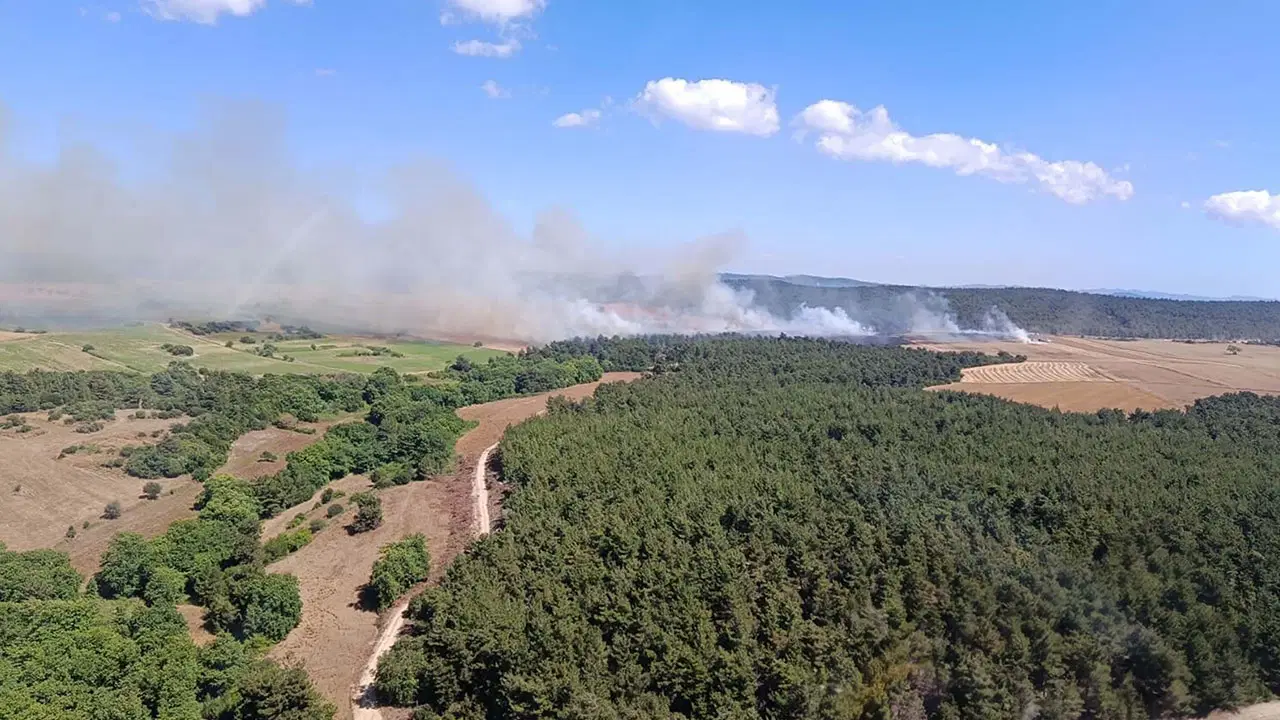 Çanakkale'de orman yangını