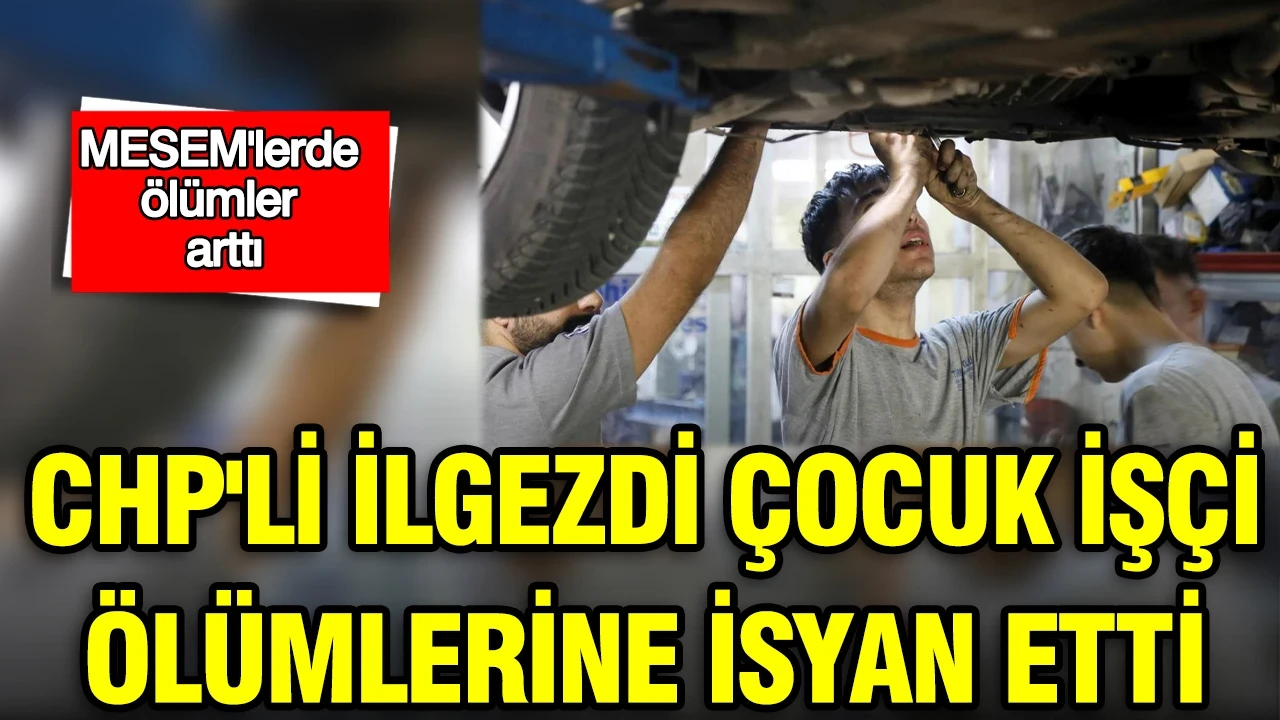 MESEM'lerde ölümler arttı: CHP'li İlgezdi çocuk işçi ölümlerine isyan etti