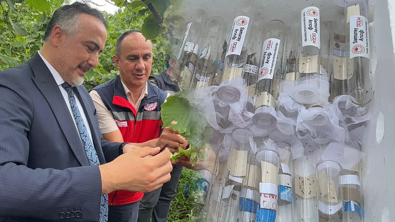 Bakanlık düğmeye bastı! Karadeniz'deki o kabusa karşı "gizli silah" sahaya indi