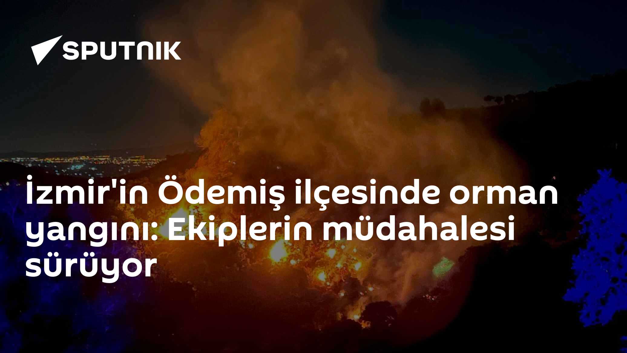 İzmir'in Ödemiş ilçesinde orman yangını: Ekiplerin müdahalesi sürüyor