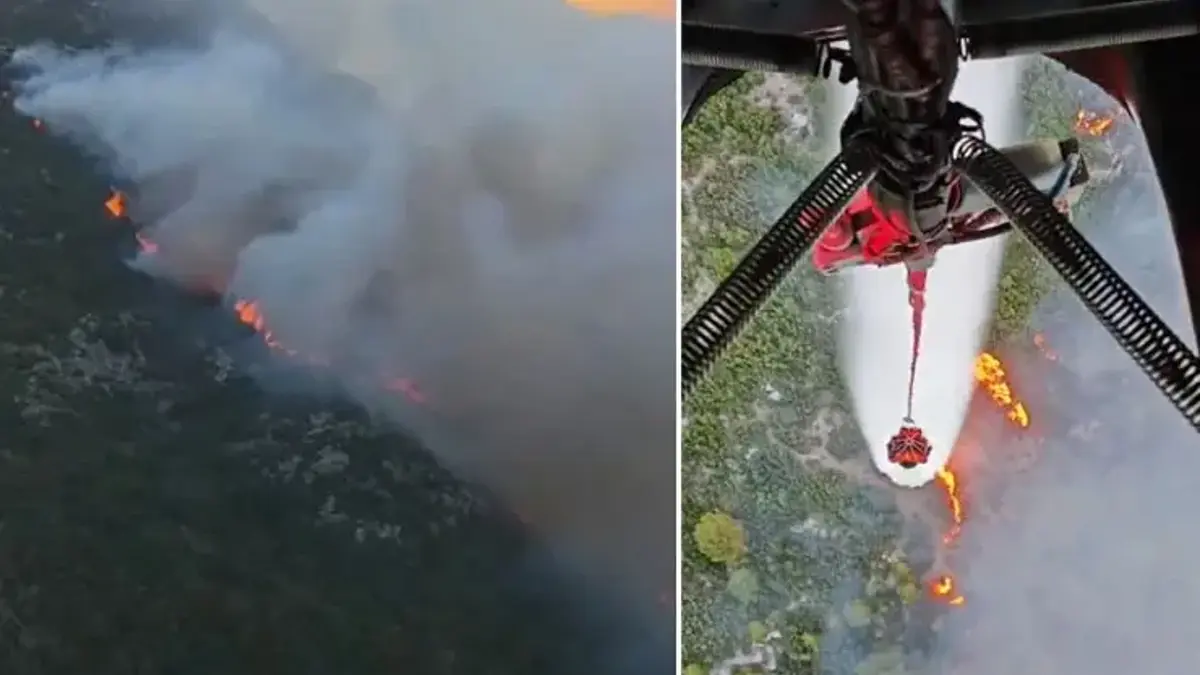 Antalya'da orman yangını! Havadan ve karadan müdahale ediliyor