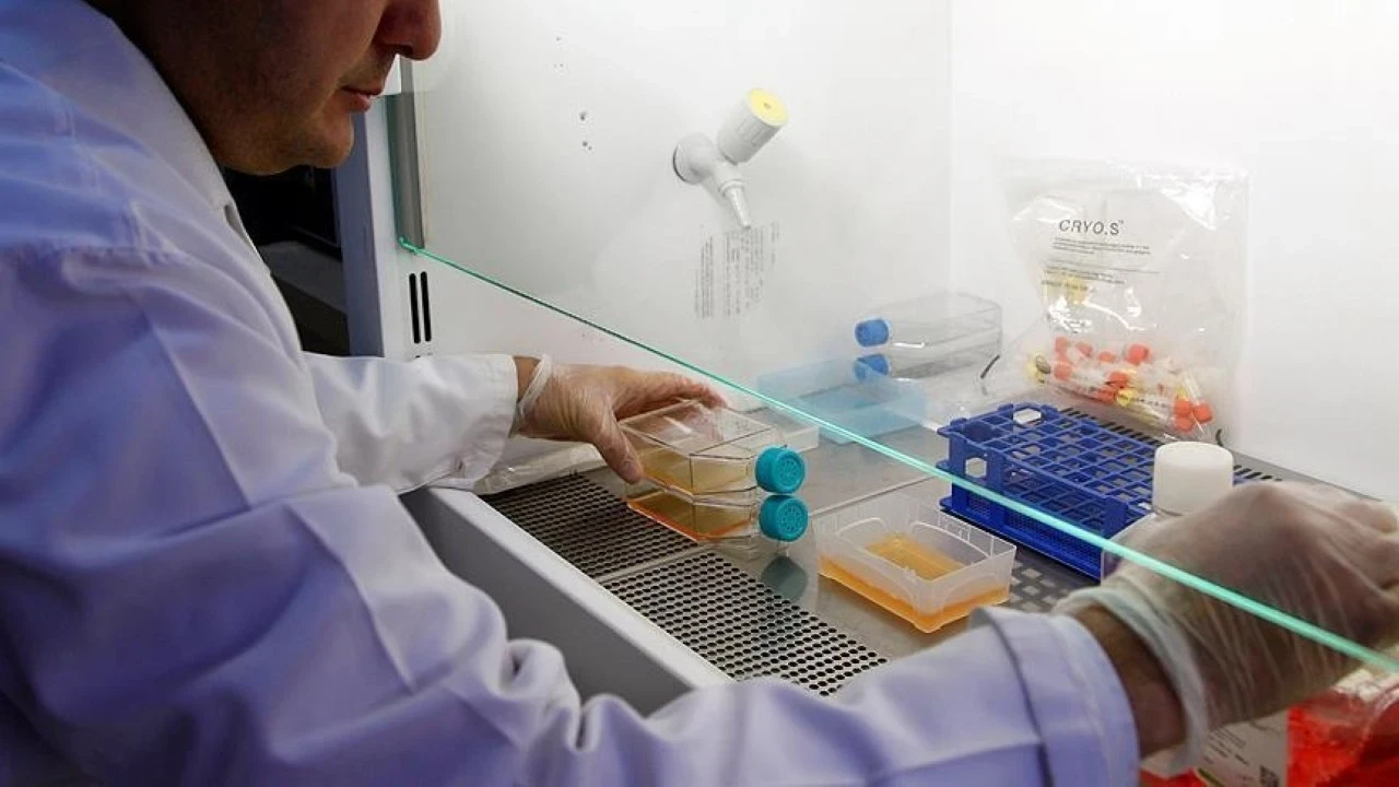 Prostat kanserinde çığır açacak yeni tedavi