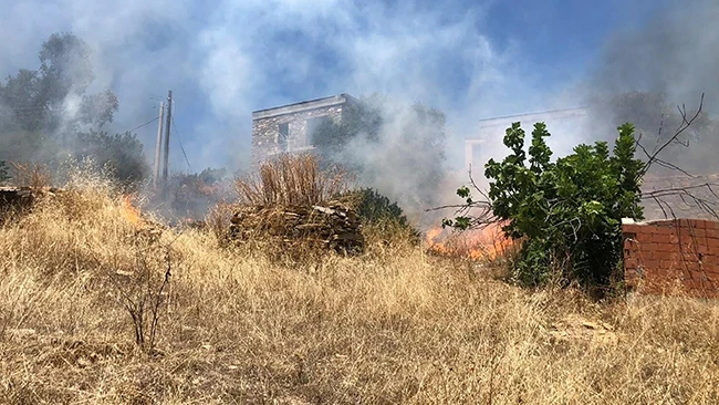Bodrum'da otluk alanda çıkıp ormana sıçrayan yangın söndürüldü