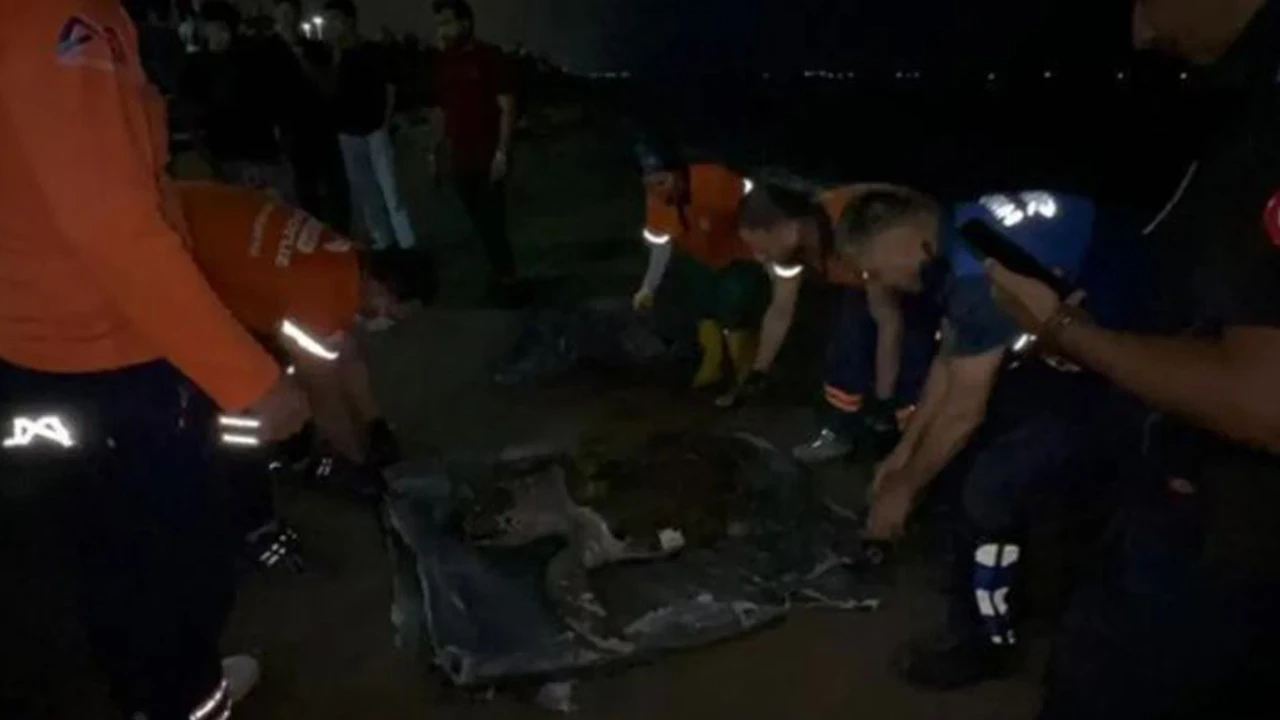 Mersin'de sahile ölü caretta caretta vurdu