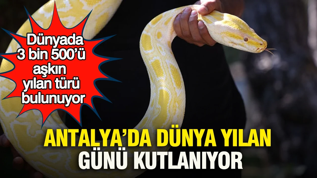 Antalya’da dünya yılan günü kutlanıyor: Dünyada 3 bin 500’ü aşkın yılan türü bulunuyor