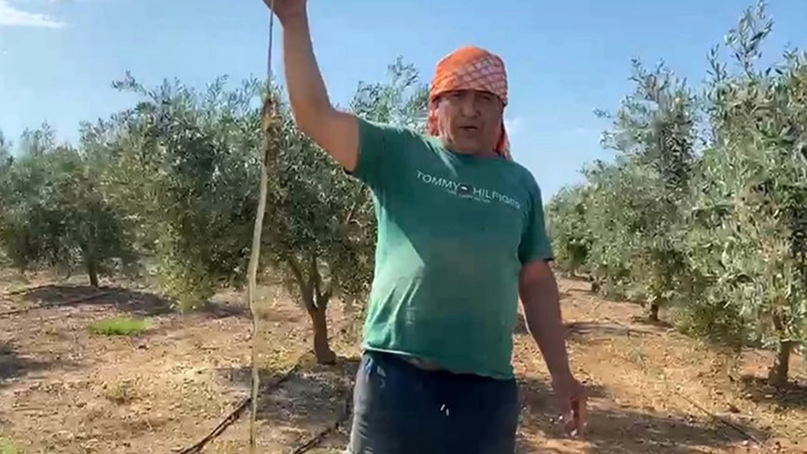 Ölü yılanı eline alıp çektiği video başına iş açtı: 22 bin TL ceza yedi