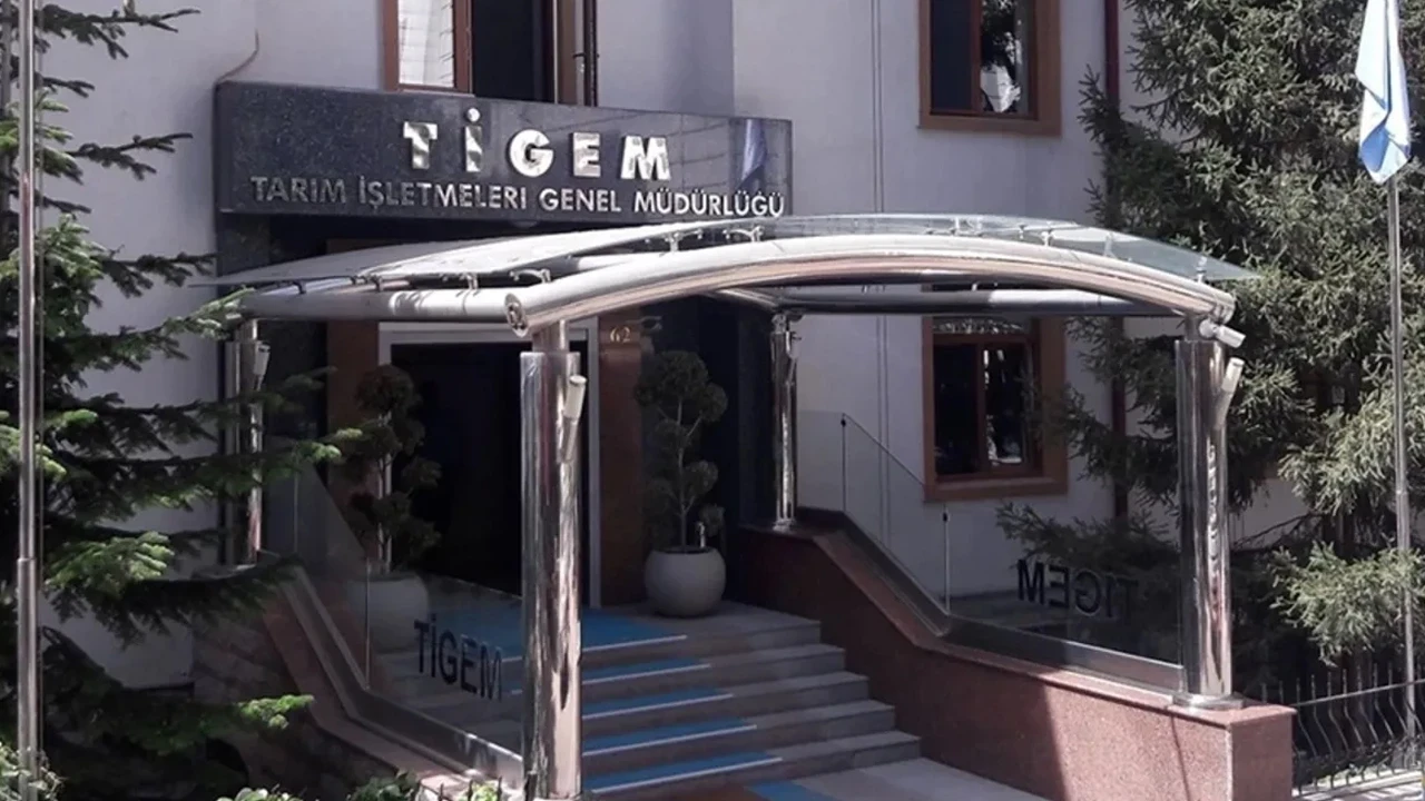 TİGEM 34 safkan Arap koşu tayı satacak: Açık artırma tarihi belli oldu