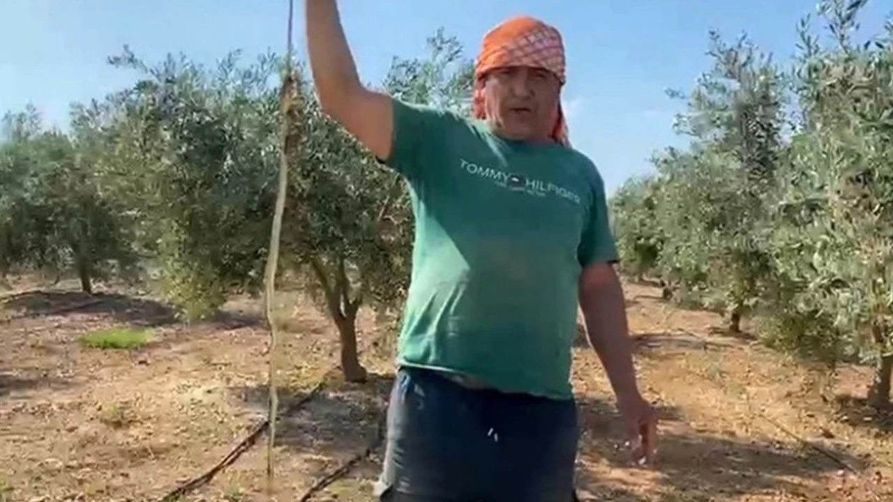 “Ben öldürdüm” dedi, 22 bin TL ceza aldı: Ölü yılanı eline alan hurdacının pişmanlığı