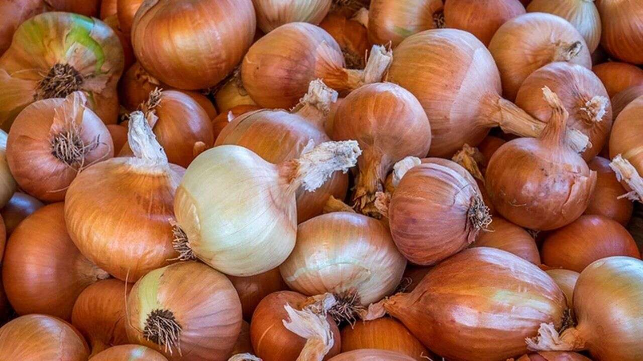 Kuru soğanda gümrük vergisi geçici süreyle yüzde 5'e indirildi