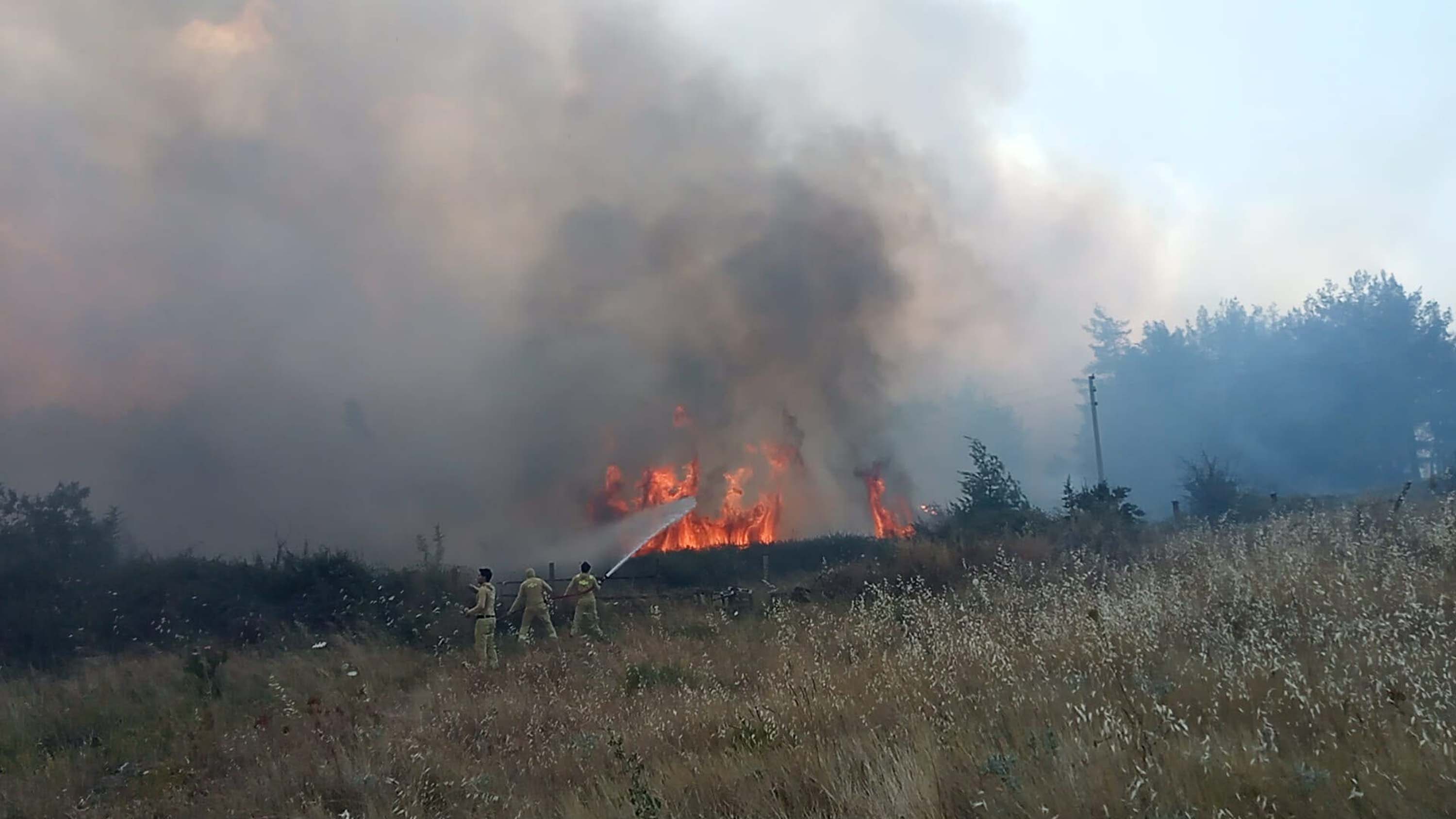 Muğla'da orman yangını. 5 hektar ziraat ve orman alanı zarar gördü, 1 kişi gözaltında