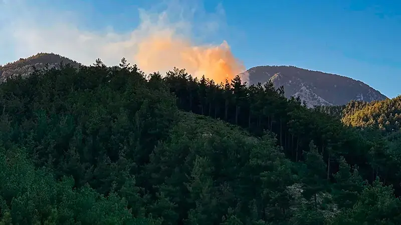 Adana’da orman yangınına havadan ve karadan müdahale