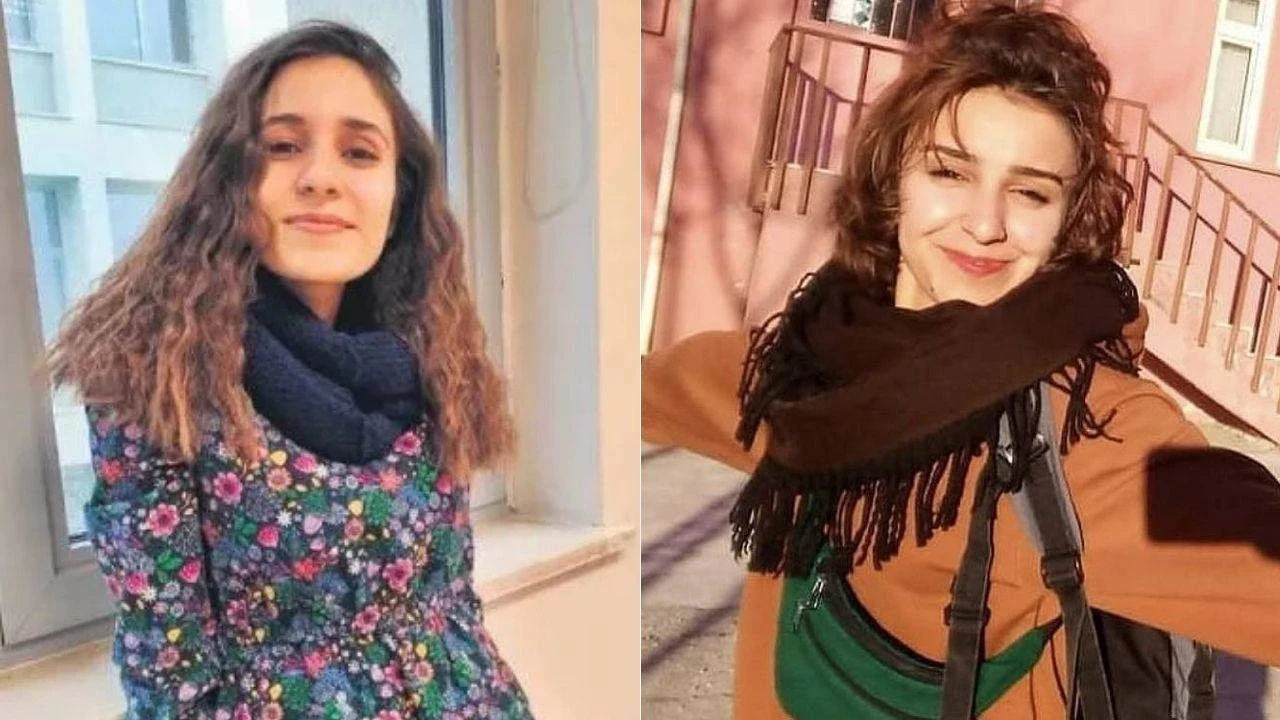 DEM Parti'den Gülistan Doku ve Rojwelat Kızmaz için araştırma önergesi