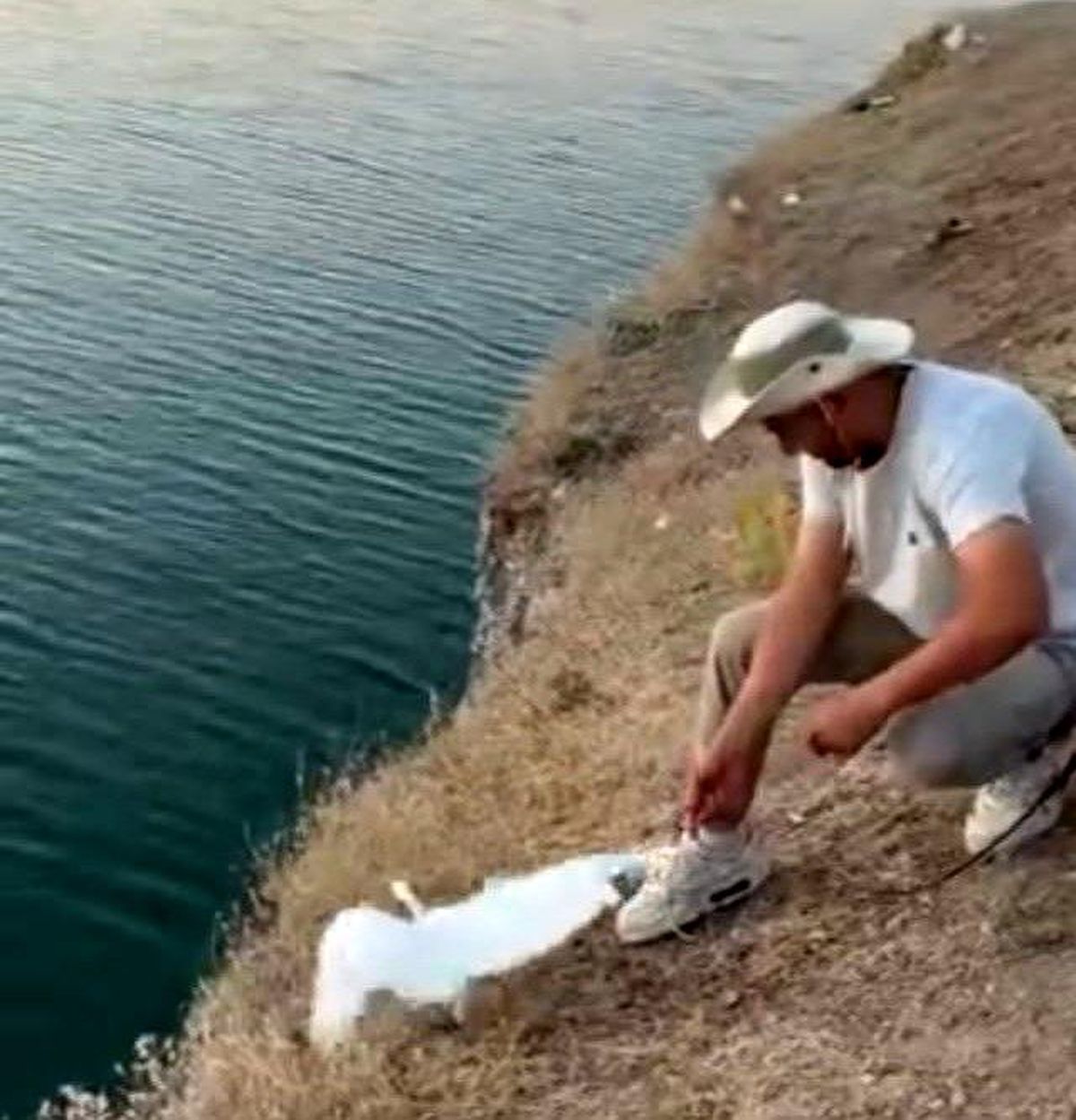 Malatya'da oltaya balık yerine martı takıldı