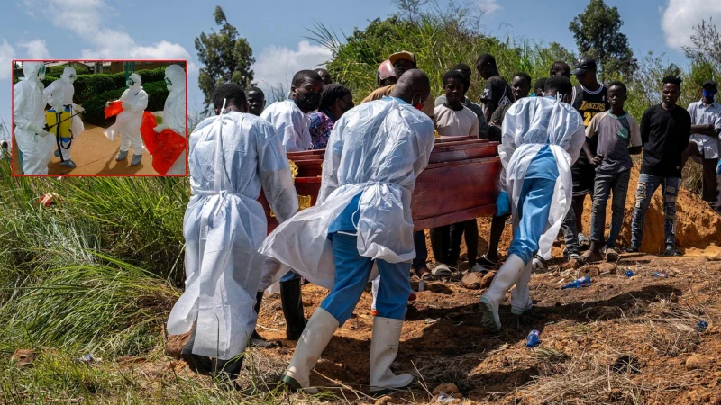 ABD'den Ebola uyarısı: Tarihin en ölümcül seviyesine ulaşabilir