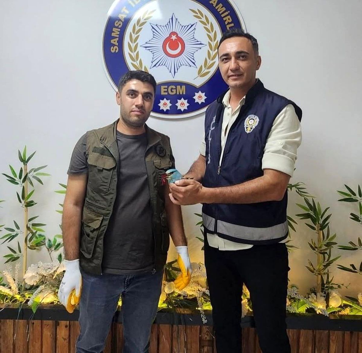 Polis ekiplerinin bulduğu yaralı gökkuzgun koruma altına alındı