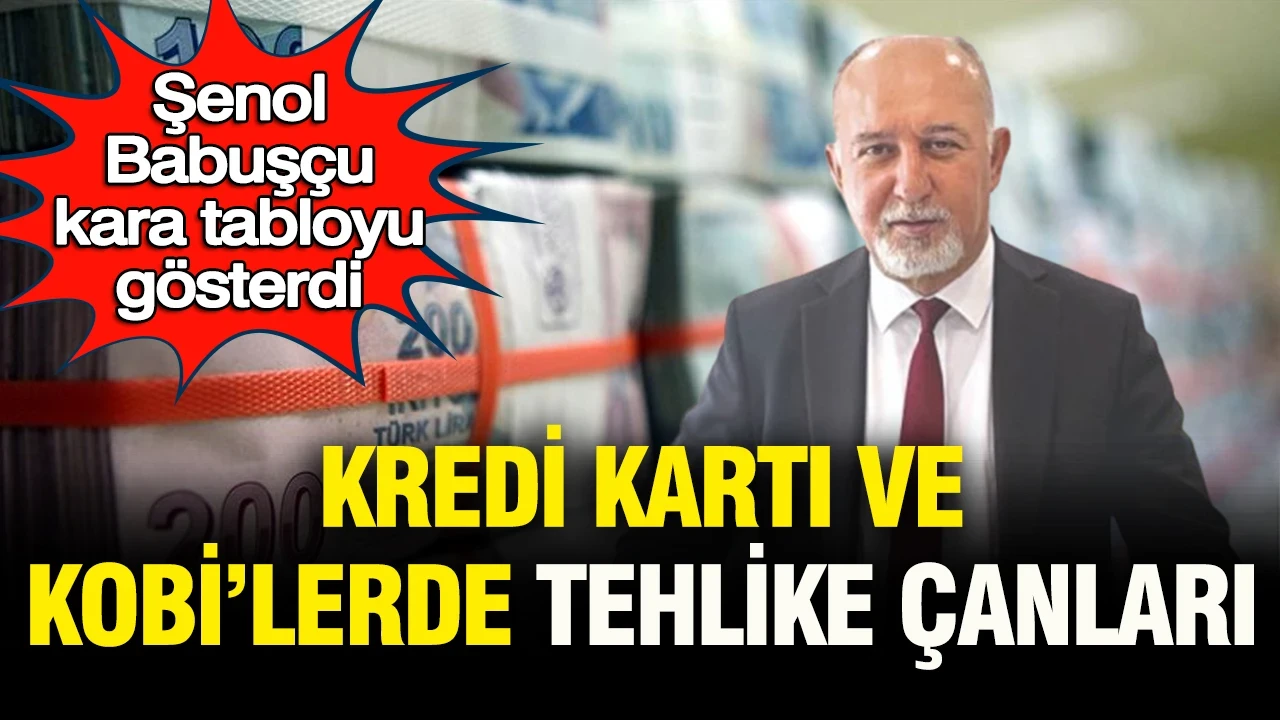 Şenol Babuşçu kara tabloyu gösterdi: Kredi kartı ve KOBİ'lerde tehlike çanları, rakamlar korkunç…