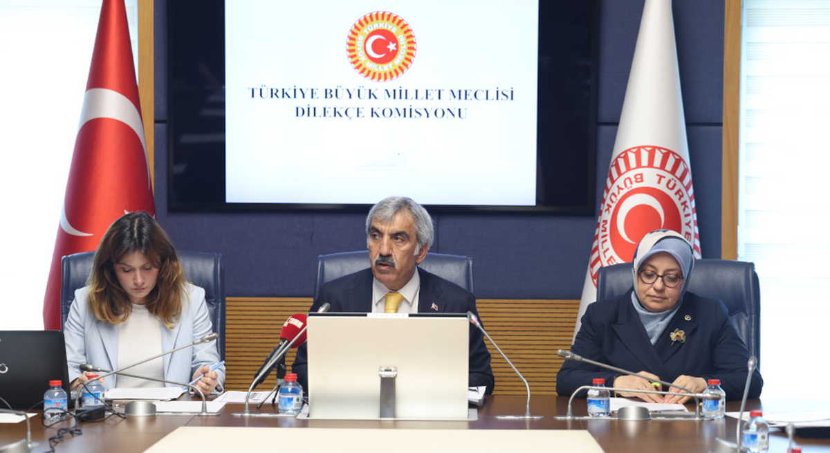 Tbmm dilekçe komisyonu, akran zorbalığı alt komisyonu raporu’nu oy birliğiyle kabul etti
