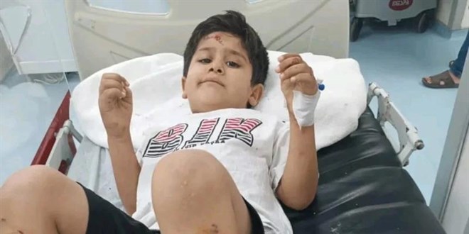 Viranşehir'de köpek saldırısıyla ilgili mülkiye müfettişi görevlendirildi