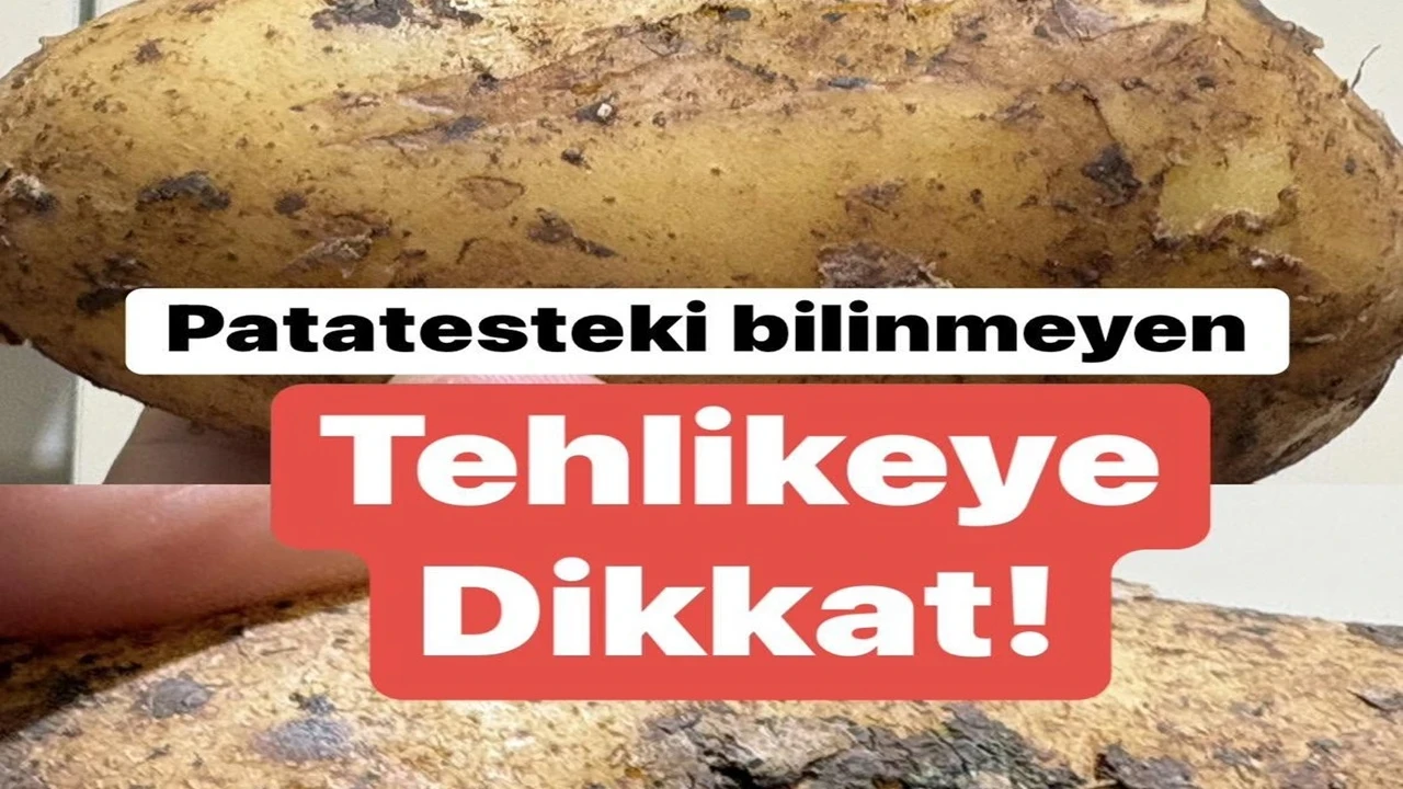 Patatesin Rengine Dikkat! Böyleyse Asla Yemeyin, Uzmanlar Uyarıyor