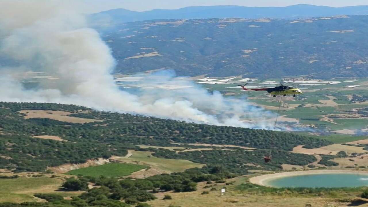 Manisa'da çıkan orman yangını kontrol altına alındı
