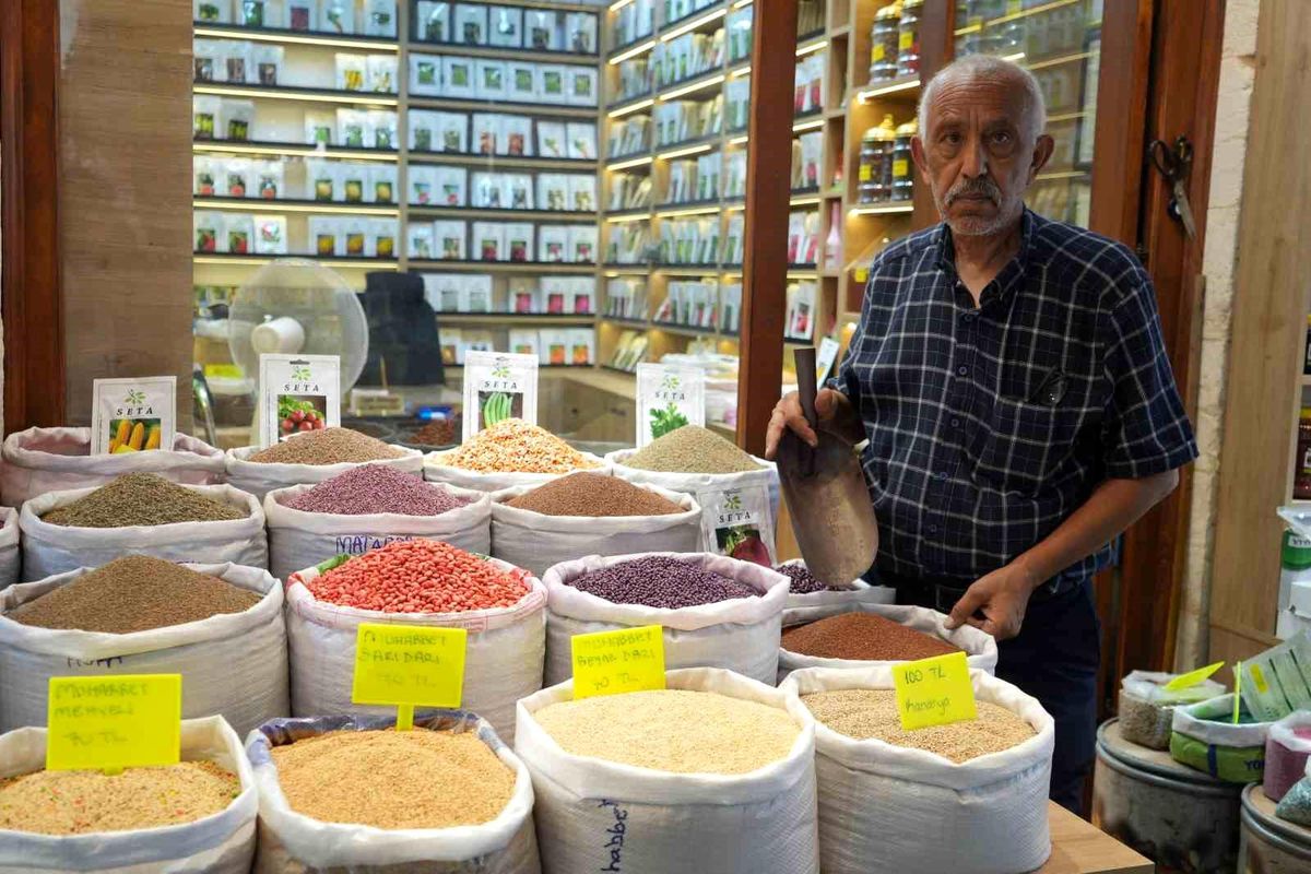 Dede mesleğini 3 bin dönüm arazide yaşatıyor