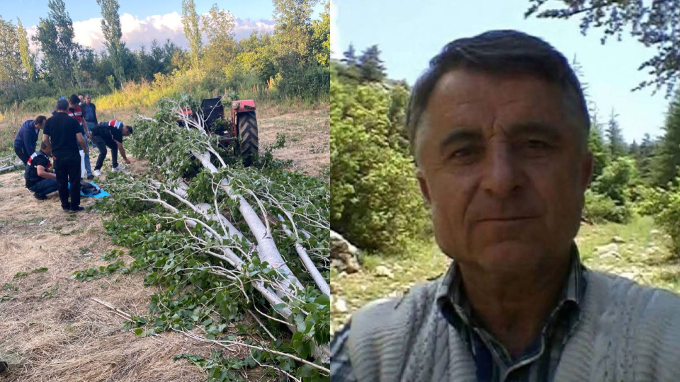 Isparta’da ağaç keserken altında kalan adam hayatını kaybetti