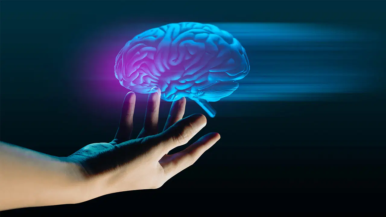 Alzheimer ve Parkinson için yeni umut: İnsan beyin kökünün 3 boyutlu en detaylı atlası çıkarıldı